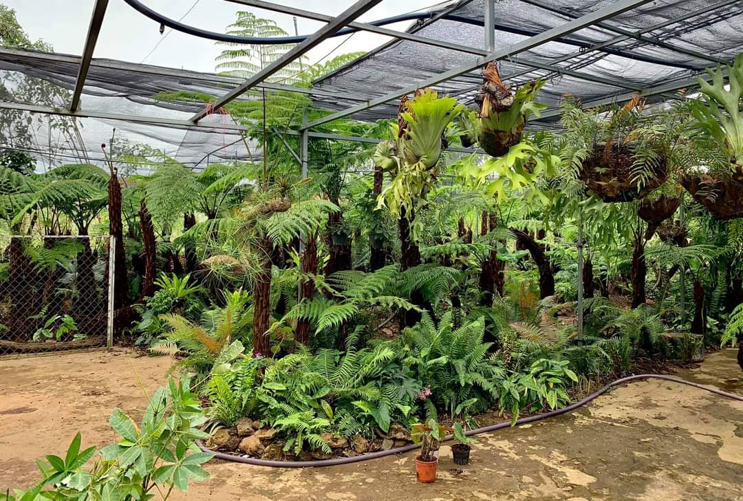 Bánh ngọt & ăn nhẹ tại Vườn của Cún Đà Lạt.