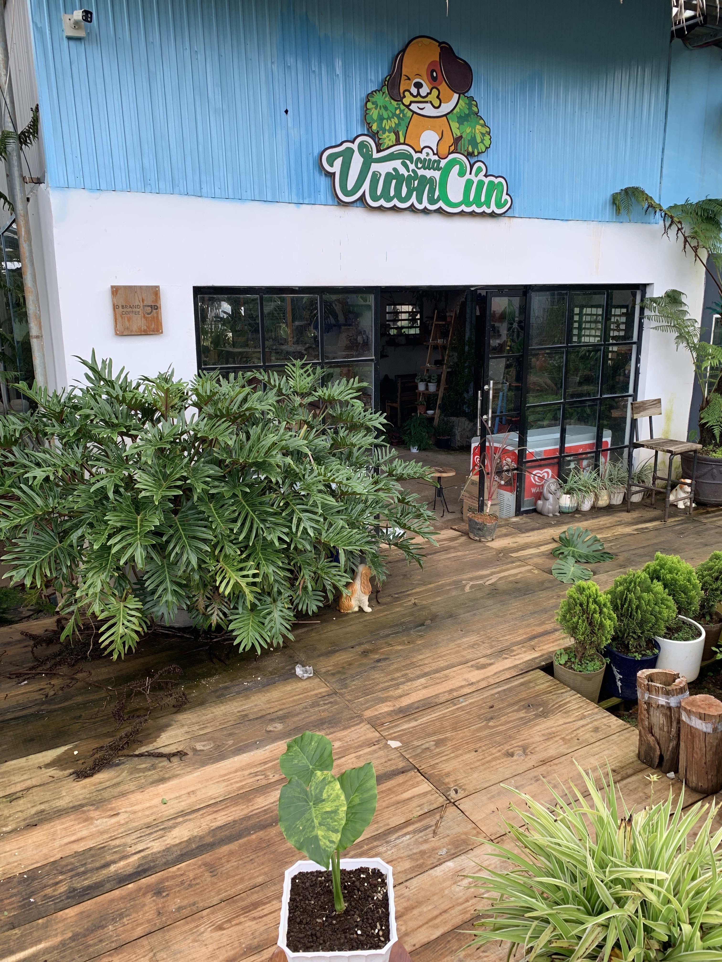 Không gian chụp ảnh tại Vườn của Cún Đà Lạt.